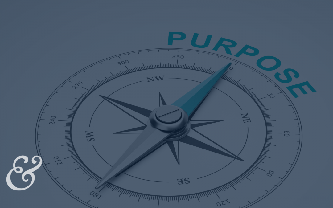 The Guide To A Purpose-Driven Organization