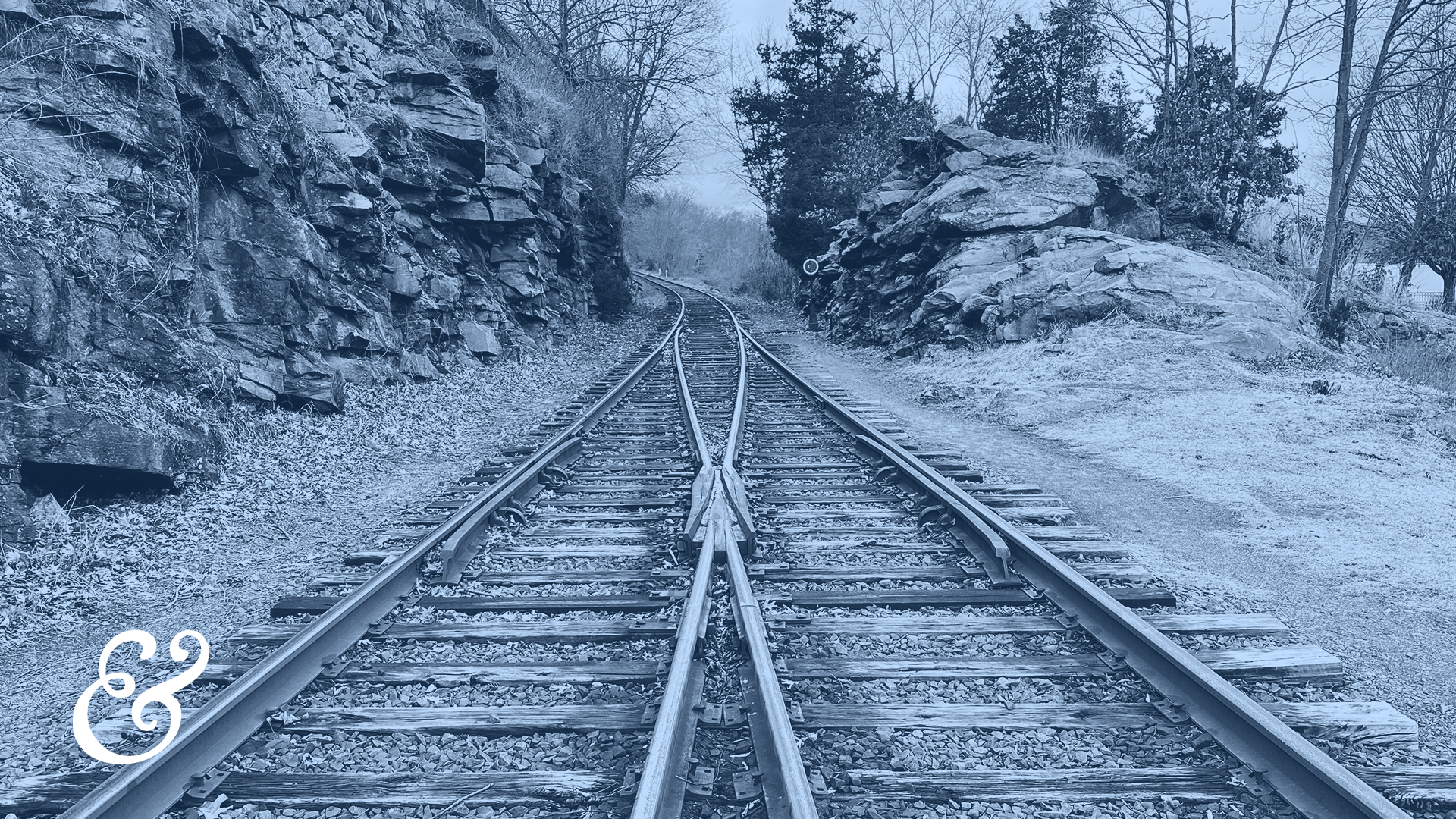 The Risk Of FOMO In Credit Union Leadership